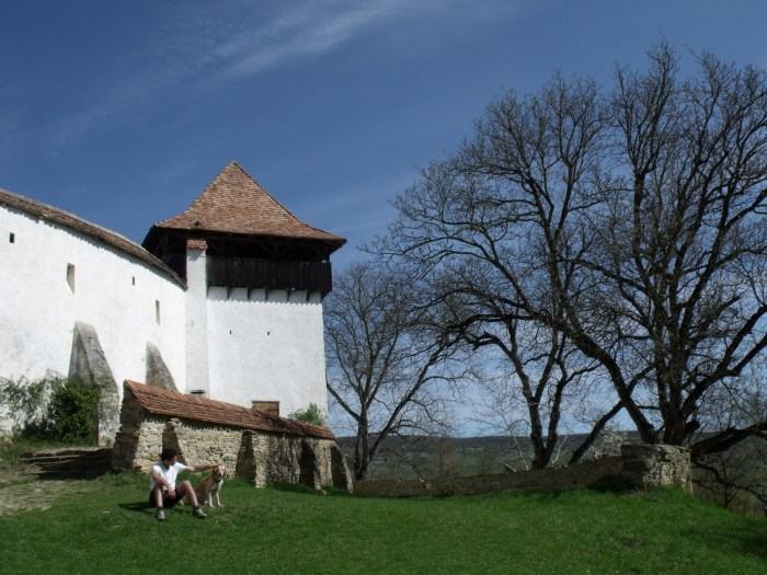 Biserica Fortificata Viscri - Brasov